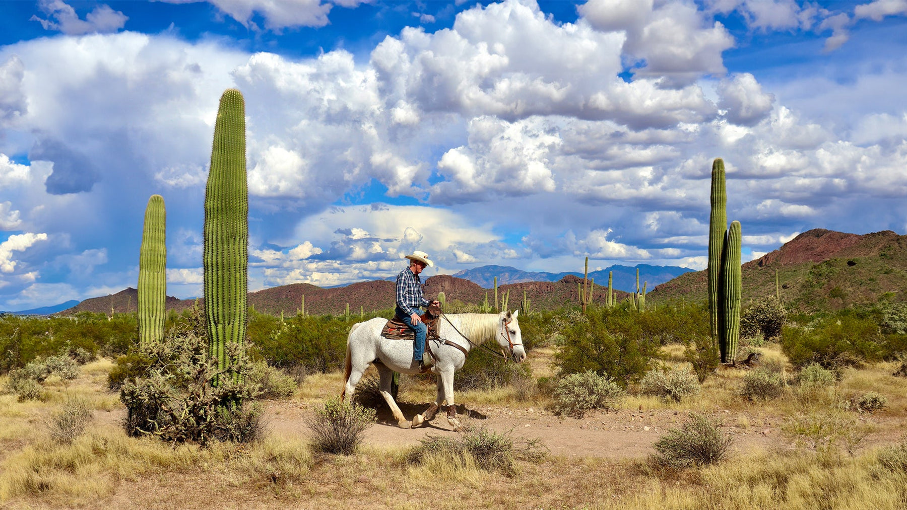 Building Your Future: How Soy de Rancho Makes Land Ownership Simple