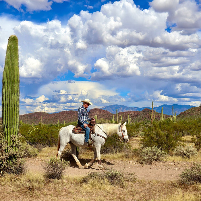 Building Your Future: How Soy de Rancho Makes Land Ownership Simple