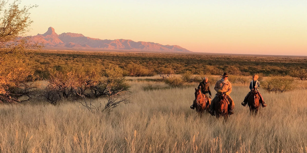 Discover Your Dream Property with Soy de Rancho: Land Ownership Made E ...